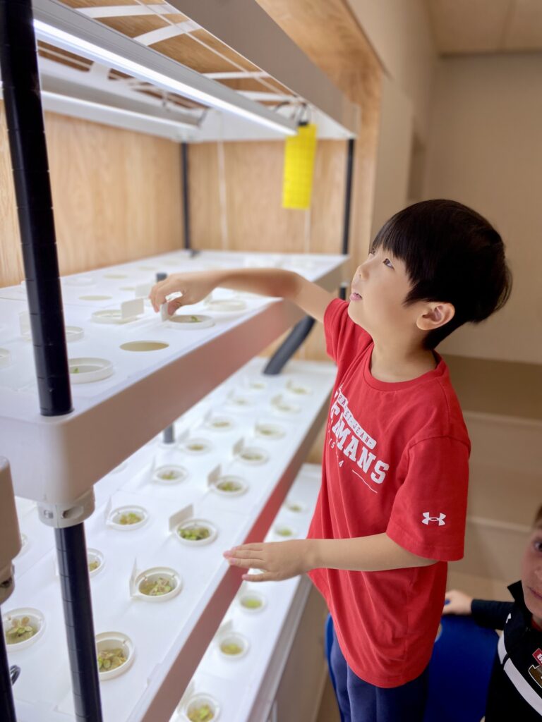 Pouponniere-serre-05